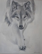 Obraz olejny namalowany na płótnie o wymiarach 40/50, WILK