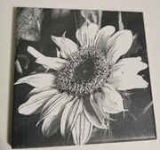 Grawerowanie laserowe grawer laserowy 