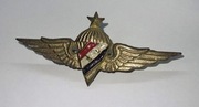 Odznaka spadochronowa -Syria