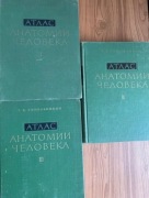 ATAAC Anatomia Człowieka R.D. Sinelnikov 3 części 
