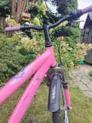 Rower dziecięcy Pink Diamond 