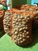 Ziemniaki Denar kaliber 35-55 mm