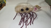 GIANTmicrobes E. coli pałeczka jelitowa prezent śmieszny Edukacyjna NOWA