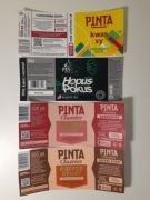 Browar Pinta 8 szt MIX