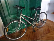 Rower crossowy damski Author Lumina