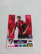 Sprzedam karte panini premier league 13