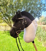 Konik Hobby Horse Fiord, konik na kiju