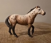 Schleich koń knabstrup ogier figurka model wycofany z 2010 r.