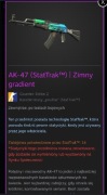 AK-47 (StatTrak) | Zimny gradient
