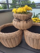 Zestaw doniczek że sztucznego rattanu 
