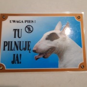 Tabliczka  laminowana - Uwaga pies!