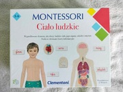 Montessori, ciało ludzkie