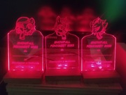 Statuetka/Grawer LED/Własna Grafika 