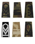 POCHEWKI WP Starszy Plutonowy Sztabowy  Starszy Sierżant Sztabowy  Chorąży 