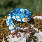 Smycz przepinana "Psokrotki" 3m Biszuna