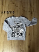 Szara, miękka, bluza z aplikacją zwierząt, r. 110/116 H&M