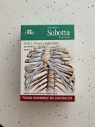 Anatomia Sobotta Flashcards. Mięśnie. Polskie mianownictwo anatomiczne 