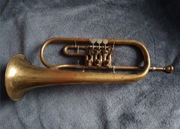 Trąbka Weltklang. Skrzydłówka.