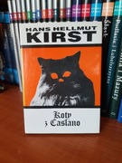 koty z Caslano