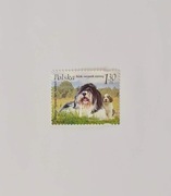 Polska 2006. Wystawa Psów Rasowych 4128