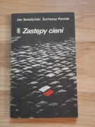 Zastępy cieni Opowieść o walce harcerzy ziemi radomskiej 1939-1945