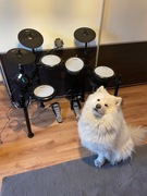 Perkusja elektroniczna Donner DED-200