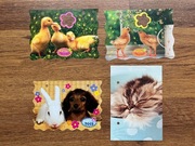 Karteczki Kotek Piesek Królik Kaczki 4 szt. (małe)