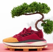 PUMA TSUGI SHINSEI JAPANESE GARDEN LIMITED EDITION EUR 44,5 US 11