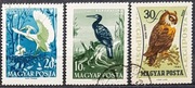 Węgry 1959 r. Fauna Ptaki