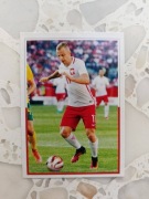 KARTA kolekcjonerska DUMNI Z NASZYCH Biedronka nr 62