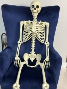 Szkielet model człowieka