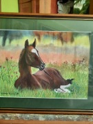 Obraz źrebaka - pastel