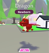 Dragon R Adopt me