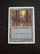 Swamp. Magic The Gathering 