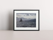 FOTOPLAKAT natura ŻAGLÓWKA 30x40 bez ramy