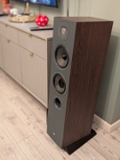 Kolumny Focal Chora 816 