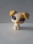 Littlest Pet Shop LPS piesek