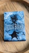 Trzecia Brama – Tomasz Kwaśniak (Fantasy / LitRPG)