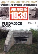 Przedmoście Koło - WLU 310