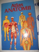 ATLAS ANATOMII Enric Gil de Bernabe Ortega 