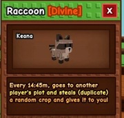 GROW A GARDEN - RACCOON