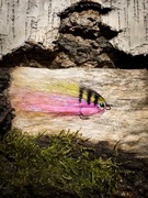 Streamer okoniowy 6/7CM