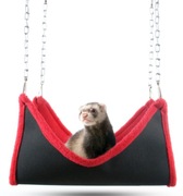 HAMAK DLA GRYZONI SZCZURA FRETKI LEGOWISKO