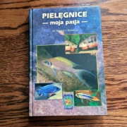 Pielęgnice Moja Pasja