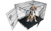 klatka dla psa kojec