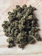 susz konopny CBD / Kwiaty CBD Premium – Cytrusowa Supernowa