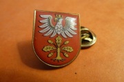 Dąbrowa Tarnowska Powiat Herb pin przypinka