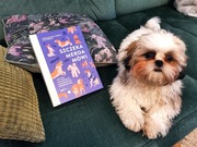 Szczeka merda mówi poradnik psy Nowa książka psi behawioryzm Wojtków pies