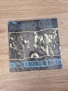 Wrong Boys  Il Suono e Distruzione 1982–1984 LP