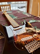 Gitara elektryczna Harley Benton ST-57DG, po modyfikacjach